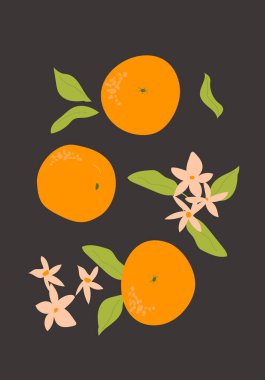 Soyut dikey turuncu poster, vektör düz çizim. Yaz ya da sonbahar parlak desenli tropikal turunç meyveli, modern kapak tasarımlı. Etiketler, market reklamları, posterler, baskılar için kapaklar için kullanılabilir.