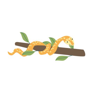 Doğa temalı tasarımlar için yaprakları olan canlı tropikal yılan..