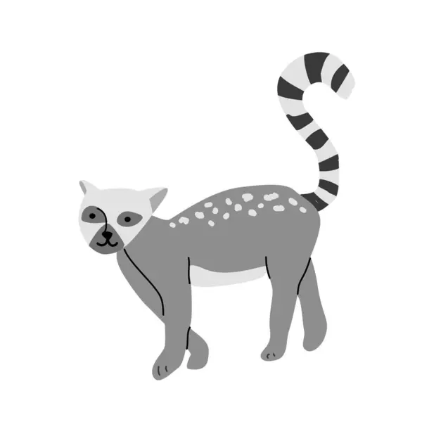Tasarım ve dekorasyon için çizgili kuyruklu tropikal lemur çizimi.