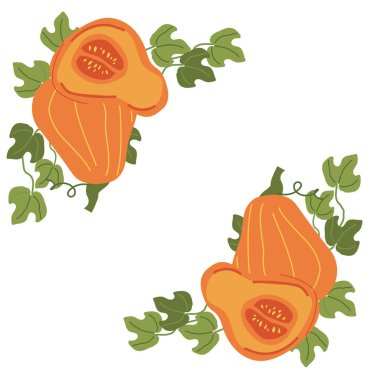 Beyaz arka planda yeşil yapraklı kusursuz balkabağı ve asma deseni. Sebze köşesi sınırı