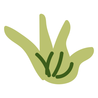 Basitleştirilmiş yaprak tasarımlı yeşil aloe vera bitki simgesi.