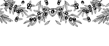 Zeytin bitkisinin yatay sınırı, elle çizilmiş vektör dokusu çizimi. Zeytinyağı ambalajı, düğün kartları için tasarım. Simetrik bileşim olarak meyve ve yapraklı zeytin dalı arkaplanı