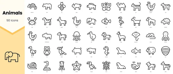 Σύνολο Ζώων Εικονίδια Απλή Γραμμή Τέχνη Στυλ Εικονίδια Πακέτο Εικονογράφηση — Διανυσματικό Αρχείο