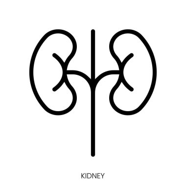 Böbrek ikonu. Çizgi Sanatı Biçimi Tasarımı Beyaz Arkaplanda İzole Edildi