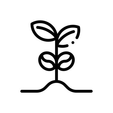 Kahve çekirdeği ikonu. Beyaz Arkaplanda İnce Doğrusal Tasarım