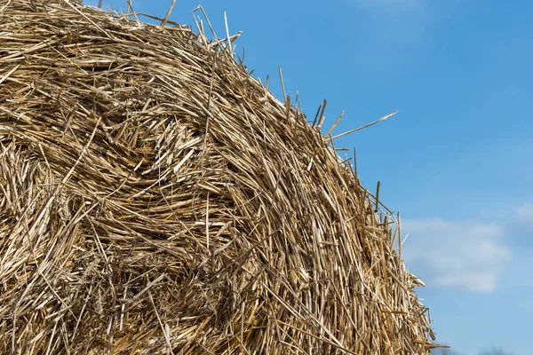 Straw Bale Hay Field — Stock Photo, Image
