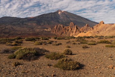Teide volkanı manzaralı vadi, Tenerife adası, İspanya