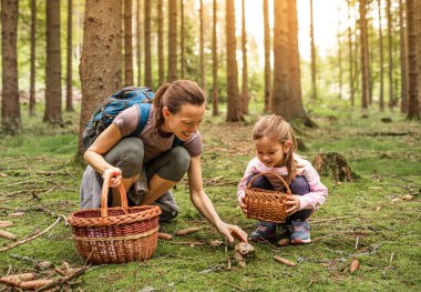 Anne ve kızı ormanda mantar topluyor. Aile mantarı toplama. 