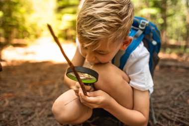 Ormanı keşfetmek için büyüteç kullanan çocuk, çocuk keşfi macerası, doğa konseptini öğrenmek