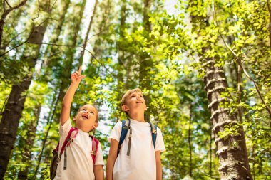 Çocuklar, kardeşlerim birlikte doğa ormanını keşfediyorlar. 