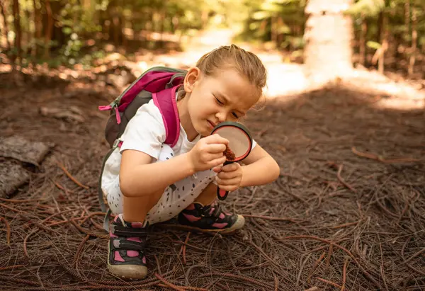 Küçük meraklı kız ormanda büyüteç kullanıyor, çocuk keşfi maceraları, doğa konseptini öğreniyor.