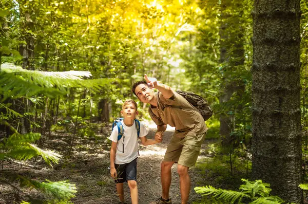 Küçük çocuk ve babası birlikte doğa keşfi yapıyorlar. Baba oğul, güneşli yaz ormanlarında ailece güzel vakit geçiriyor. Babası ve küçük oğlu.