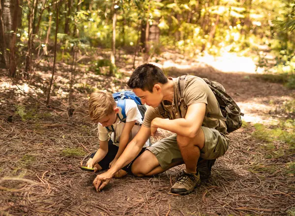 Şirin çocuk ve babası doğa keşifleri hakkında bir şeyler öğrenmek için birlikte yürüyüş yapıyorlar. Küçük çocuk babasıyla güneşli yaz ormanlarında ailece güzel vakit geçiriyor..
