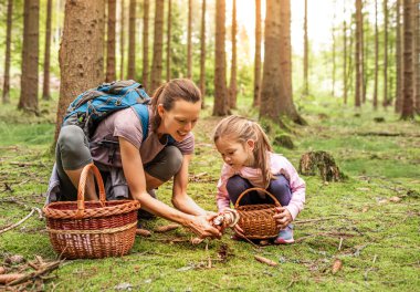 Anne çocuk ormanda sepetli mantar topluyor, mantar toplama mevsimi, aile doğa aktiviteleri.
