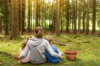 Sevgi dolu anne çocuklarla doğa ormanında vakit geçiriyor. 