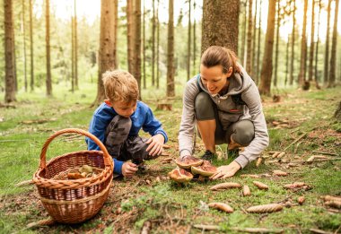 Anne çocuk ormanda sepetli mantar topluyor, mantar toplama mevsimi, aile doğa aktiviteleri.