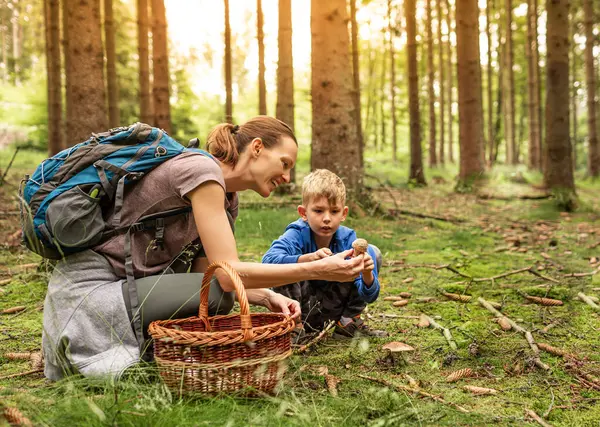 Anne çocuk ormanda sepetli mantar topluyor, mantar toplama mevsimi, aile doğa aktiviteleri.