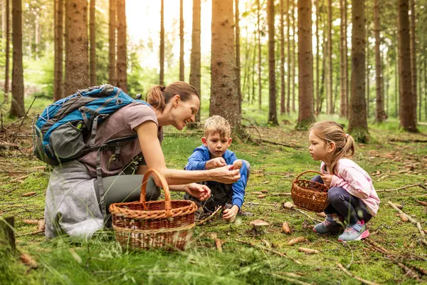 Ormanda sepetli mantar toplayan anne çocuklar, mantar toplama mevsimi, aile doğa aktiviteleri.