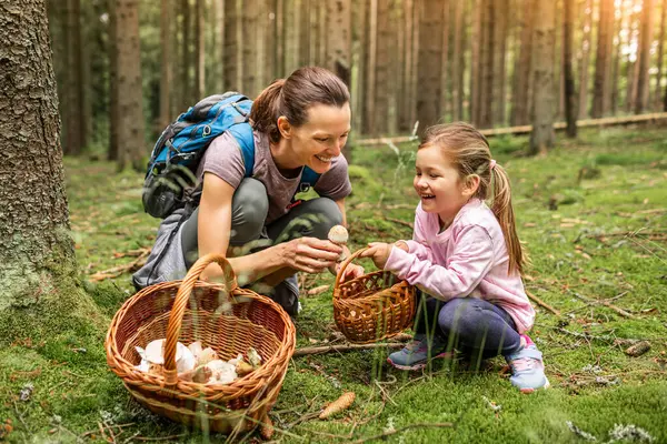 Anne çocuk ormanda sepetli mantar topluyor, mantar toplama mevsimi, aile doğa aktiviteleri.