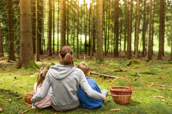 Sevgi dolu anne çocuklarla doğa ormanında vakit geçiriyor. 