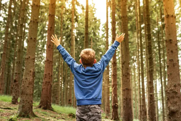 Neşeli çocuk kendini doğada özgür hissediyor, macera yaşıyor, doğayı keşfeden çocuk. 