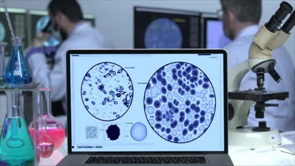 Virus Analysis Laboratory Screen — Stock Video