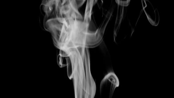 Real Smoke Steam Black Loop — Video Stock