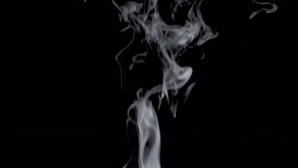 Smoke Loop Black Background — Stock video