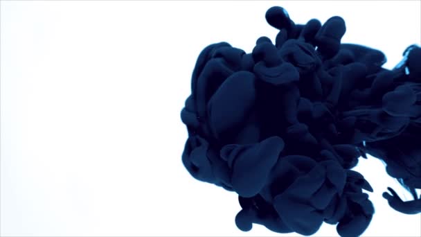 Blauwe Inkt Water — Stockvideo