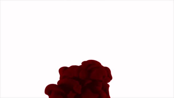 Tinta Vermelha Água — Vídeo de Stock
