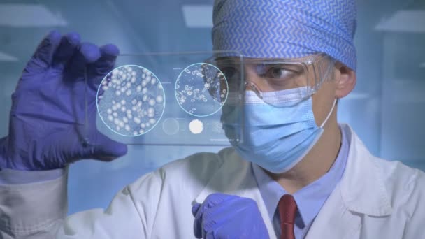 Scientist Looking Bacteria — Stock Video