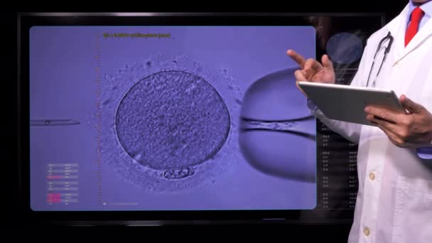 Control Espermatozoides Investigación Laboratorio — Vídeo de stock