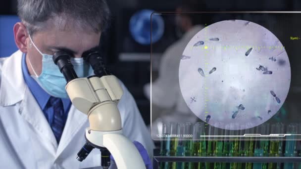 현미경을 사용하여 실험실에서 일하는 과학자 — 비디오