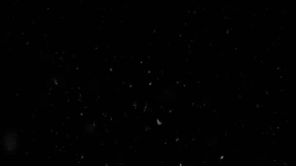 Shot Real Snow Dark Night Sky Seamlessly Looped Match Any — Stock Video