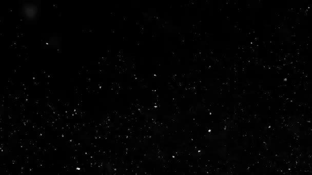 Schnee Über Einem Dunklen Nachthimmel Nahtlos Jede Benötigte Dauer Angepasst — Stockvideo