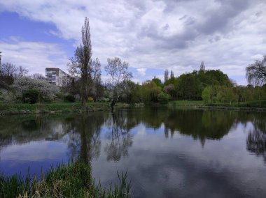 Parkta bir nehir manzarası