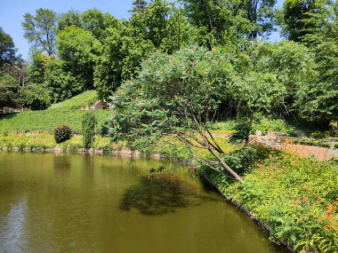 Nehrin yukarısındaki ağaçtan. Gün boyunca parkta.