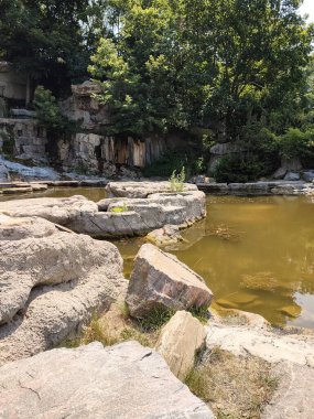 Taşlı bir gölet ve taş bir duvar manzarası.