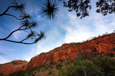 Cliff of El Questro, on the way to beautiful Emma Gorge in Kimberley, Western Australia clipart