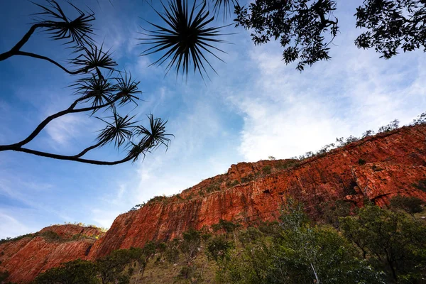 Cliff Questro Cestě Krásné Emma Gorge Kimberley Západní Austrálie — Stock fotografie