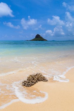 Güzel Lanikai plajı, mercan ve gökyüzü Kailua, Oahu adası, Hawaii