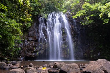 Güzel Ellinjaa Cairns, Queensland, Avustralya 'ya düştü.