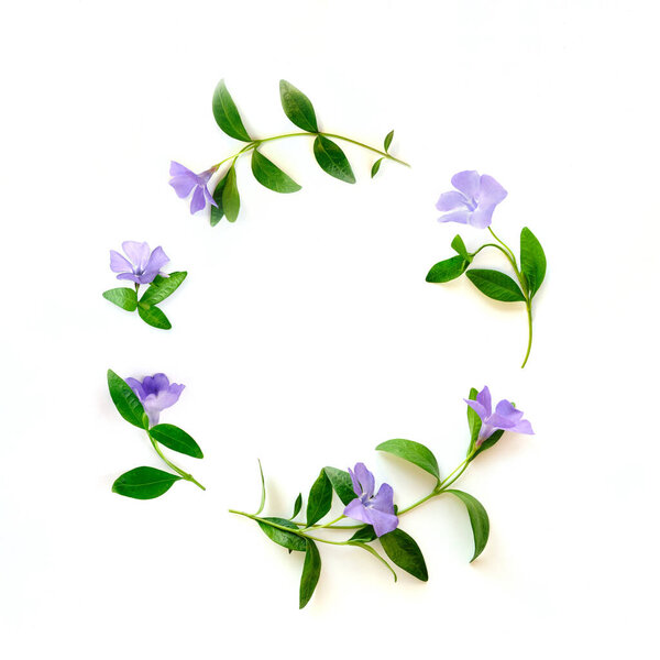 Round floral frame with blue flower buds, branches and leaves isolated on white background.