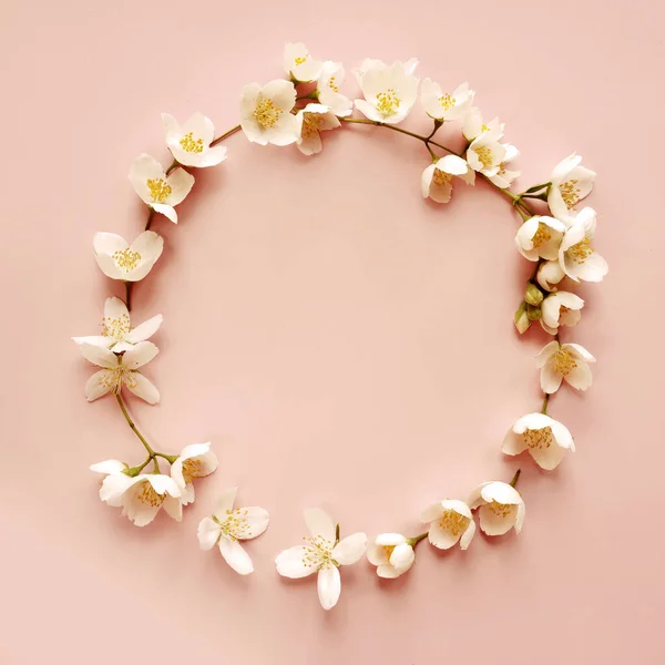 stock image Frame of beautiful jasmine flowers on pink background, flat lay. Space for text