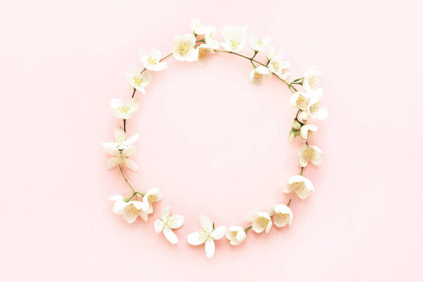 Frame of beautiful jasmine flowers on pink background, flat lay. Space for text