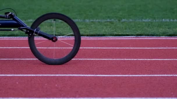 Athlete Wheelchair Racing Riding Stadium Track — Vídeos de Stock