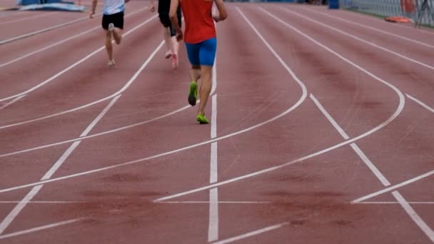 Atleta Corredor Foi Ferido Durante Corrida Sprint — Vídeo de Stock