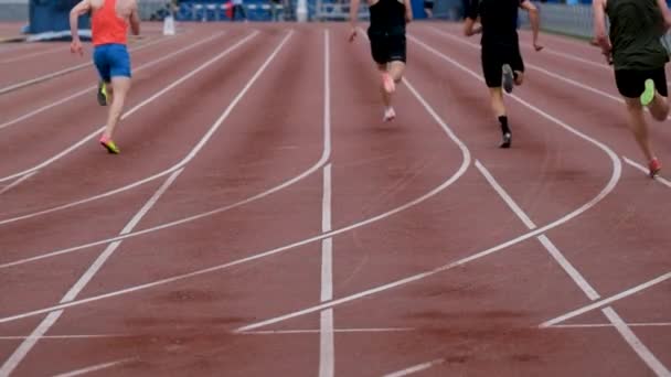 Terug Atleten Hardlopers Lopen Sprint Race Het Stadion — Stockvideo