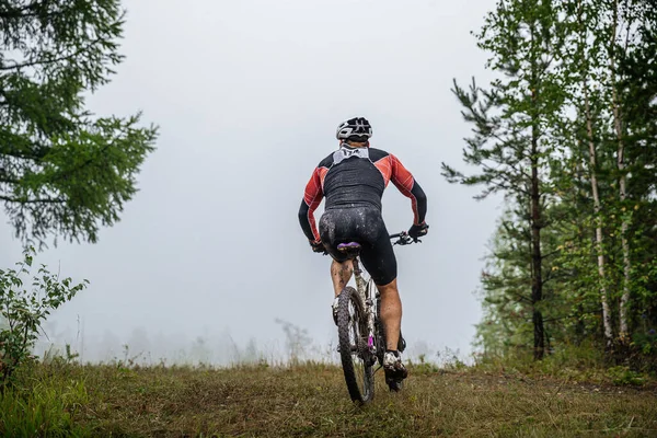 Ciclista Atleta Espalda Bicicleta Montaña Sendero Del Bosque Piernas Sucias —  Fotos de Stock