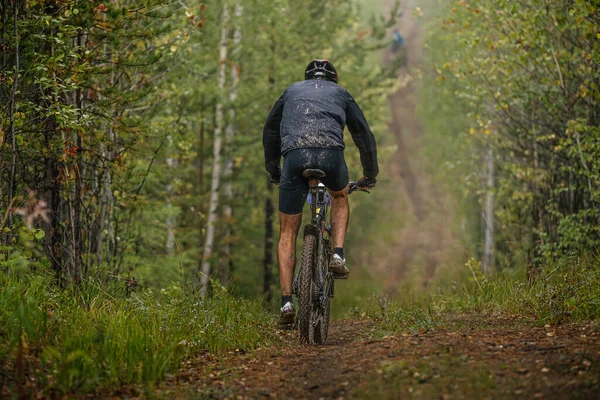 Tillbaka Manliga Cyklist Mountainbike Rida Skog Spår Från Kullen Jord — Stockfoto